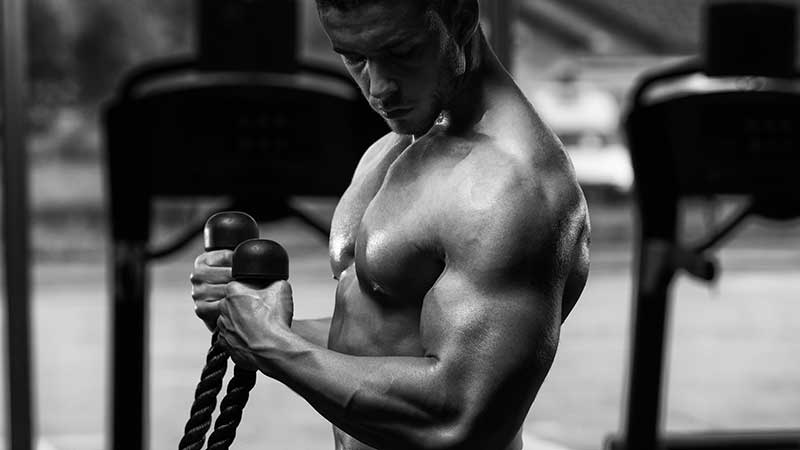 2 Ways You Can Use body building donne To Become Irresistible To Customers